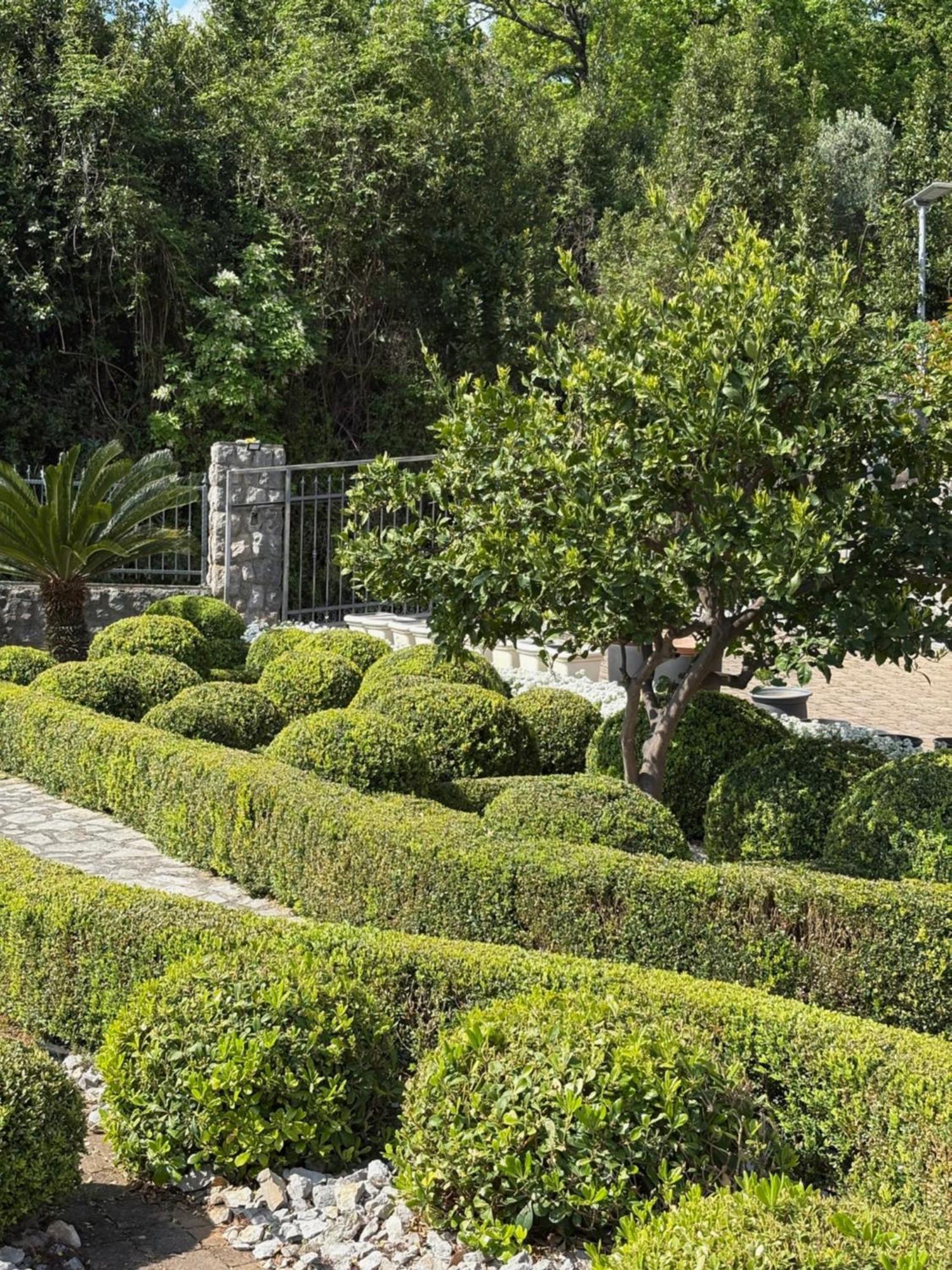 Mošćenička Draga Bed And Breakfast Villa Iris מראה חיצוני תמונה