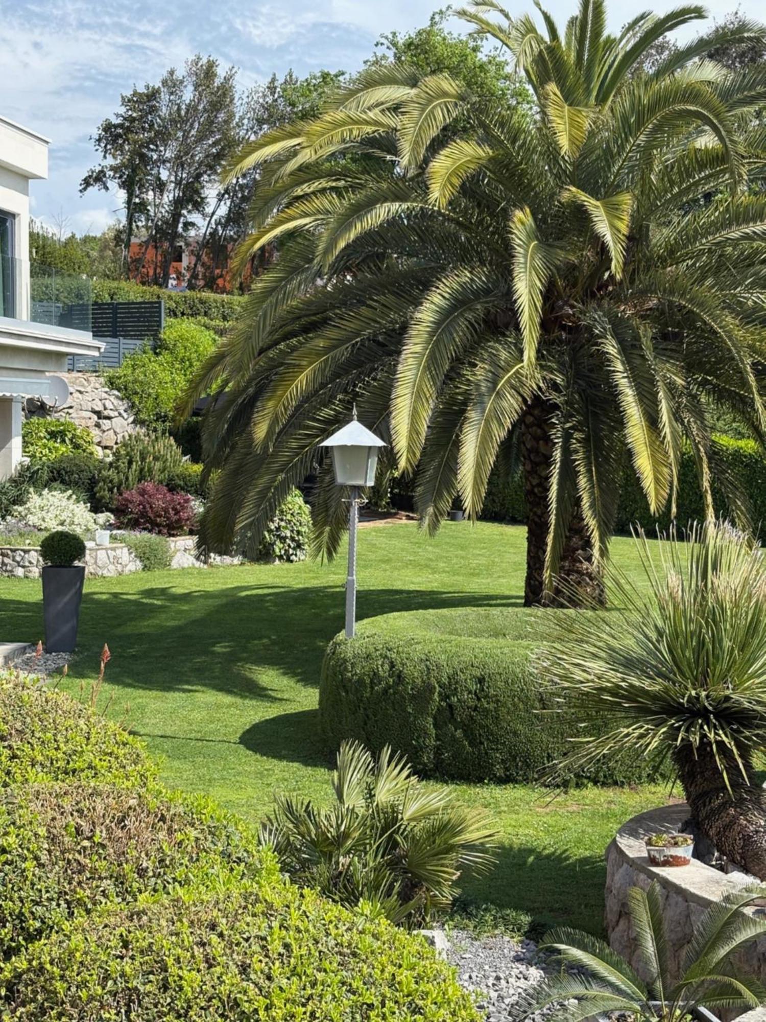 Mošćenička Draga Bed And Breakfast Villa Iris מראה חיצוני תמונה