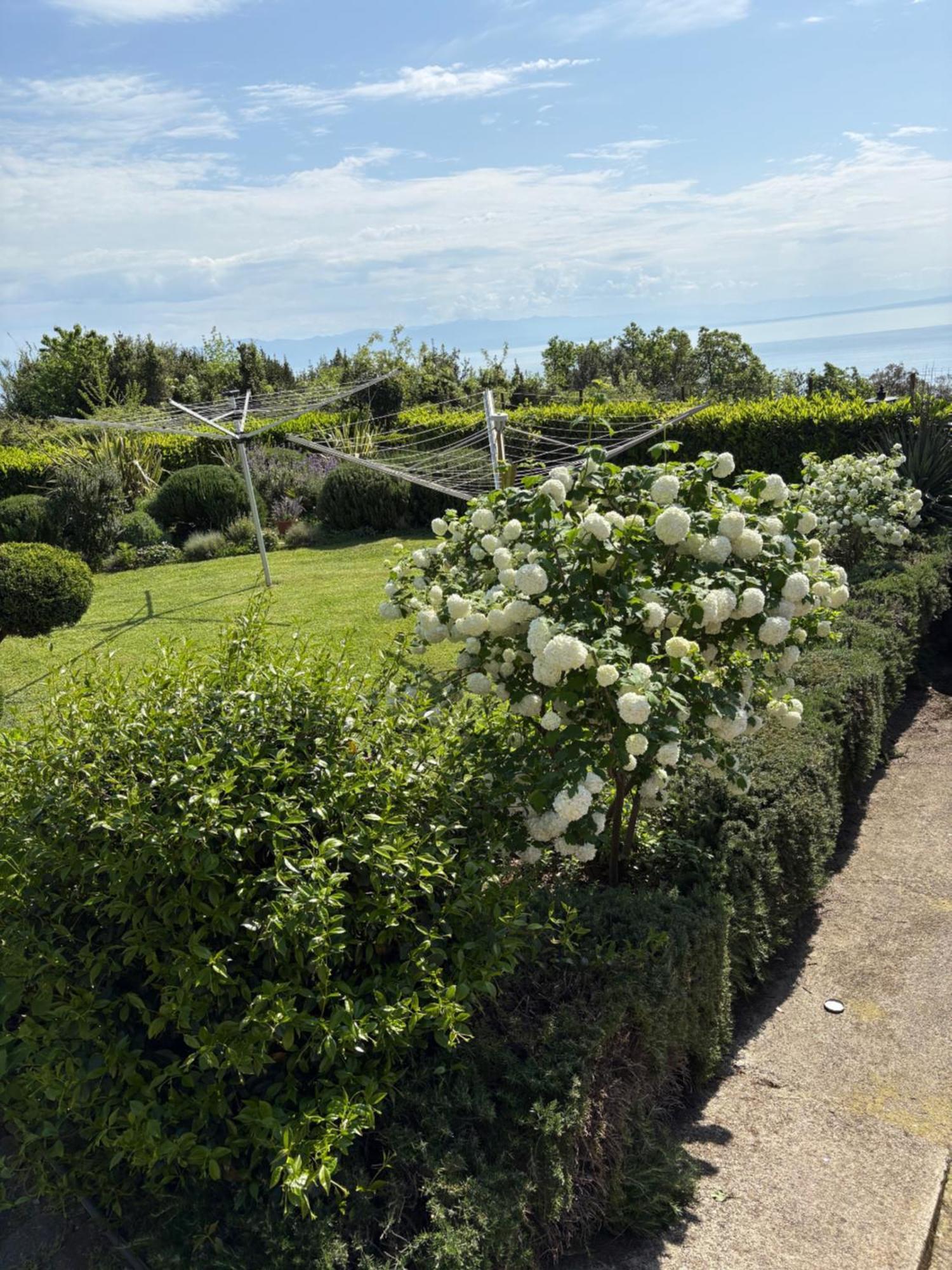 Mošćenička Draga Bed And Breakfast Villa Iris מראה חיצוני תמונה