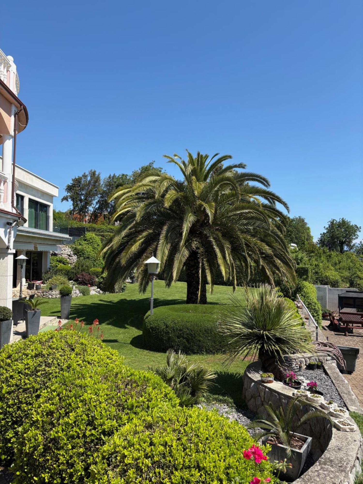 Mošćenička Draga Bed And Breakfast Villa Iris מראה חיצוני תמונה